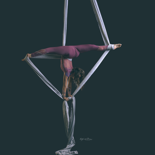 Aerial Silk